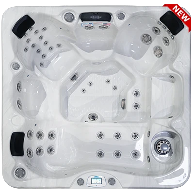 Avalon-X EC-849LX hot tubs for sale in Busan