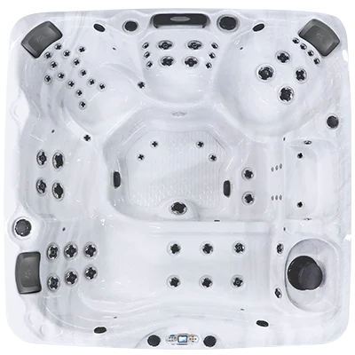 Avalon EC-867L hot tubs for sale in Busan